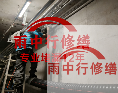 枣庄电缆线空洞堵漏加固案例