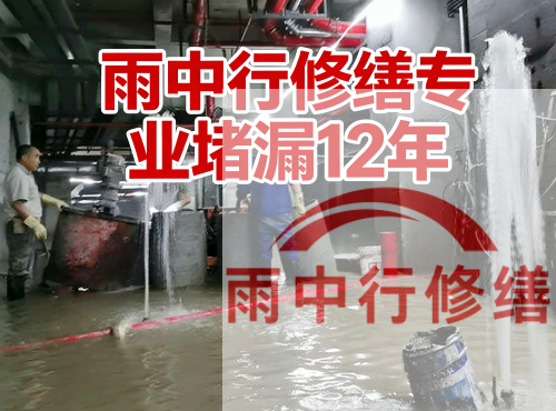 枣庄中国五矿某大型污水处理厂堵漏案例